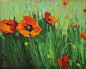 Preview: Poppies